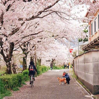 电音冲刺关卡全解锁版下载