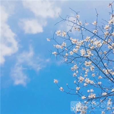 星际谜航手游下载